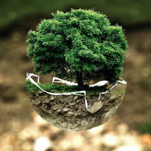 Bonifica aree industriali e dismesse