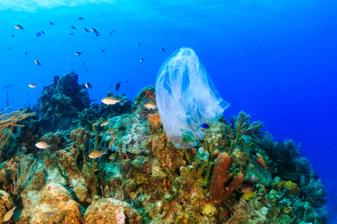 Come la plastica sta uccidendo i nostri mari