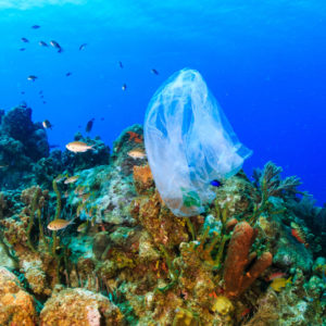 Come la plastica sta uccidendo i nostri mari