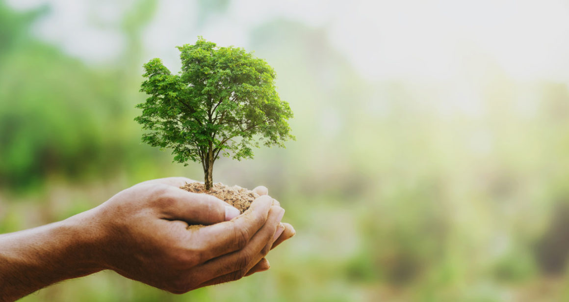 Che cosa si intende per â€œModello Ecologia Oggi Spaâ€