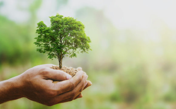 Che cosa si intende per â€œModello Ecologia Oggi Spaâ€